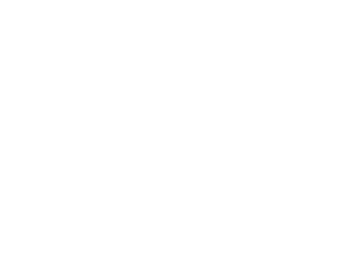 BridgeDay